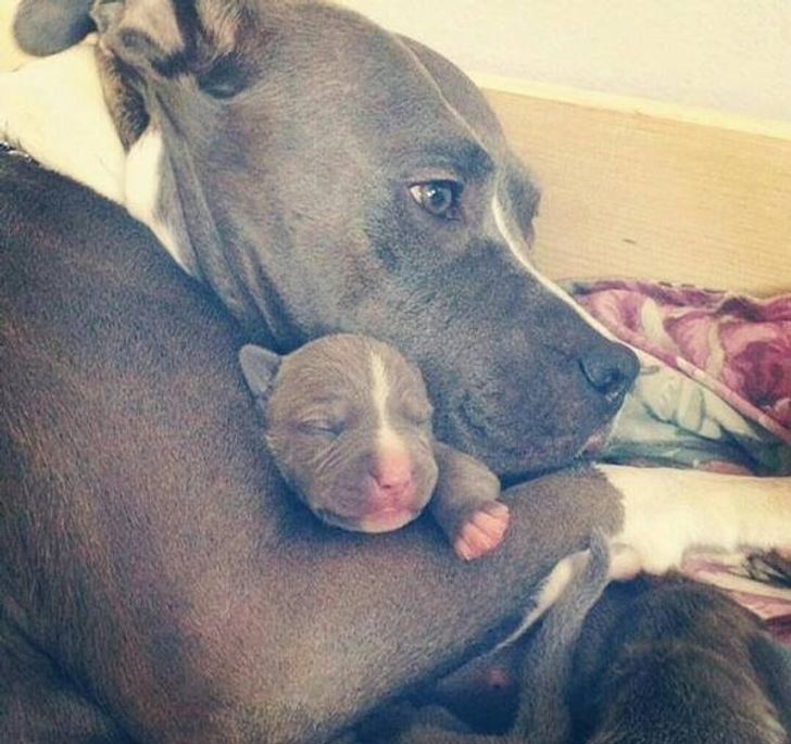 2e5e125f708c2be9d1b34f4c4c