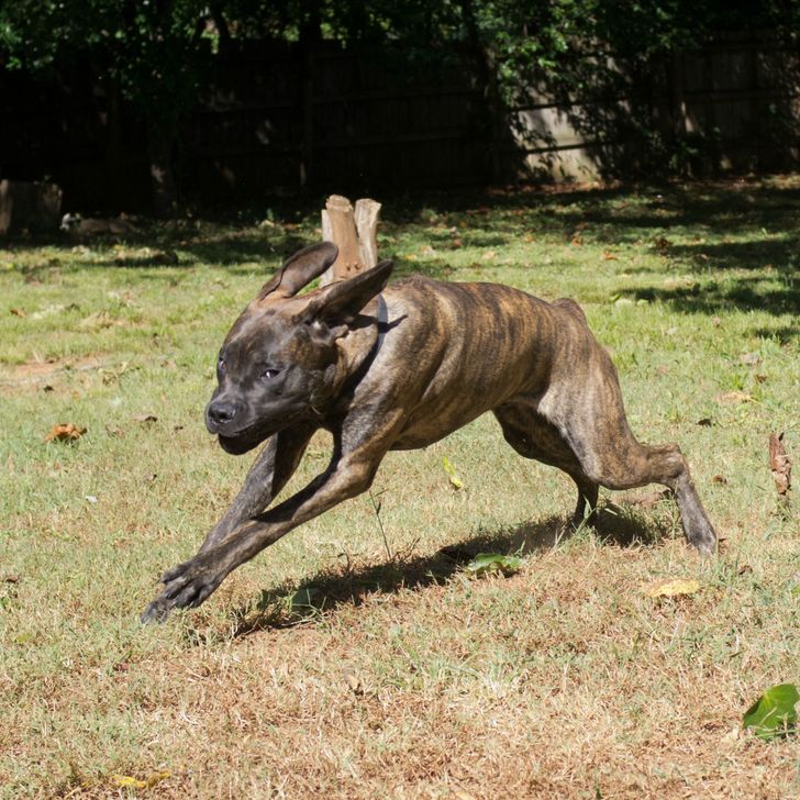 2e61ed5f24961aa78b16bd628f