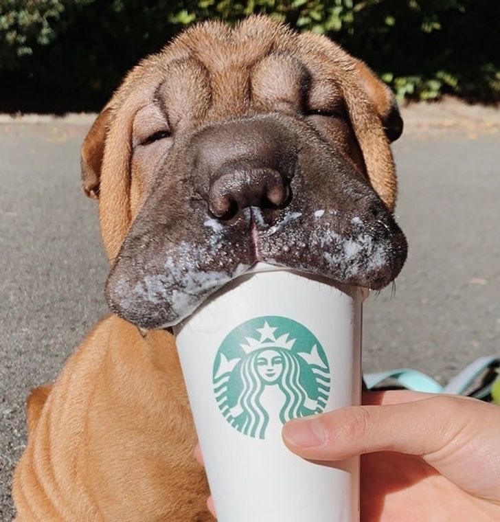 2e656f5901bd4d7254a384e14d