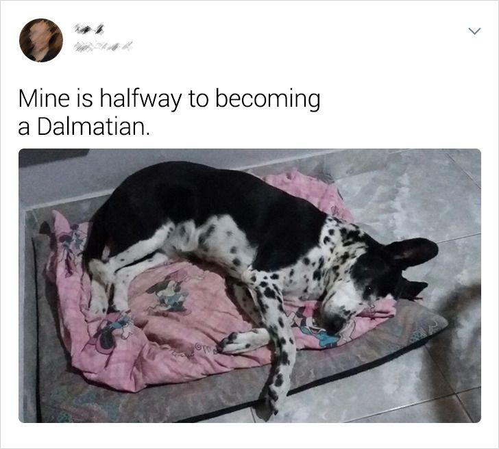 2e75cb56da9ef408a0ca8c5d3d