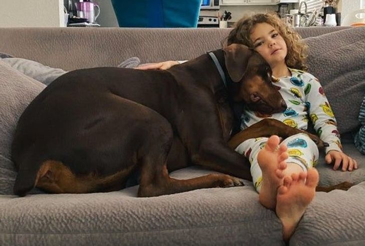 2e7c0b52bbbdad7ee8ed1adde0