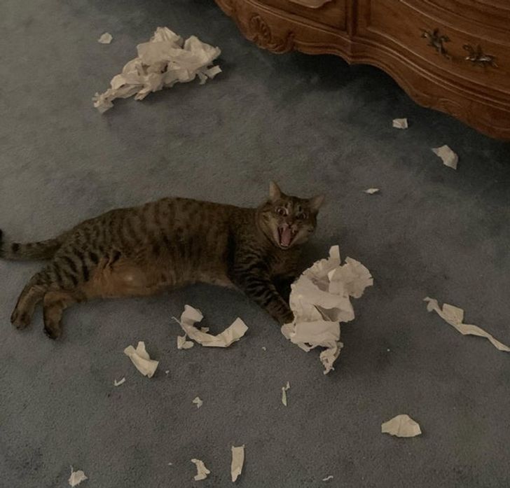 2e857558949a79af6aebe2ed7e