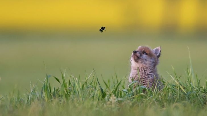 2e88915cce94cba163b3670b89