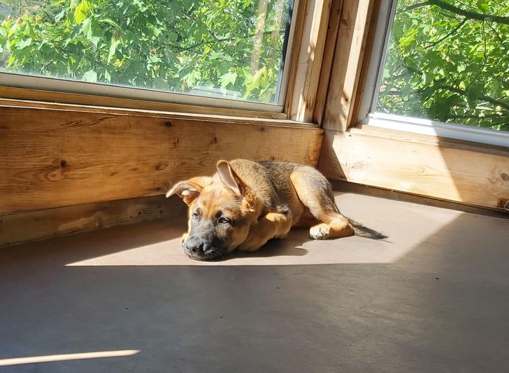 2e8940562cb090278029b11fc0