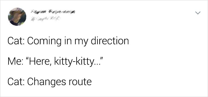 2e8e275a04a2a14a1b207bdbe9