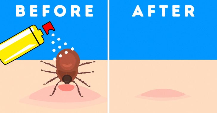 2e99795082b2076b749f5acea5