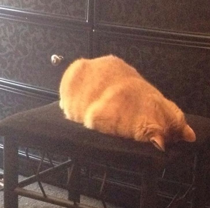 2e99bd5d788b7bbf39ef8dcdf0