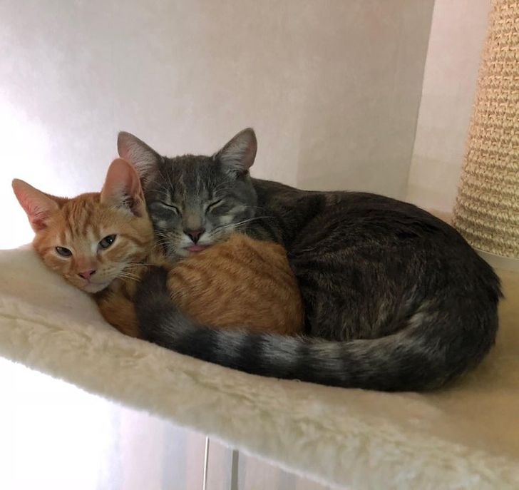 2e9d0c5bf0986c98e08e0b6f4e