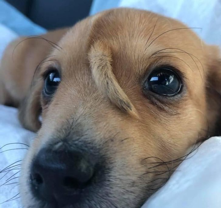 2ea2ea5a999c9fbc2520f14fa0