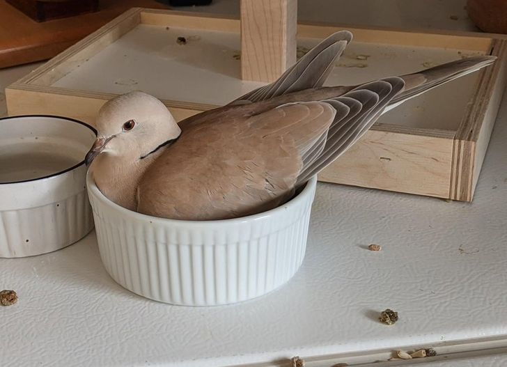 2ea2f95459bdd2adcf71a0cd76