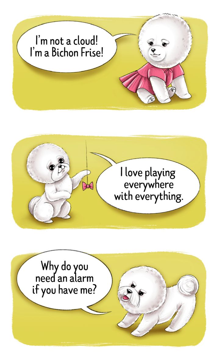 2ea3775532866cae07ffcdb84e 2ea3775532866cae07ffcdb84e