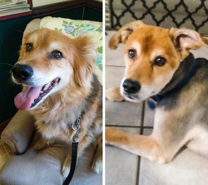 2ea5865cf58d2fd481601d3034