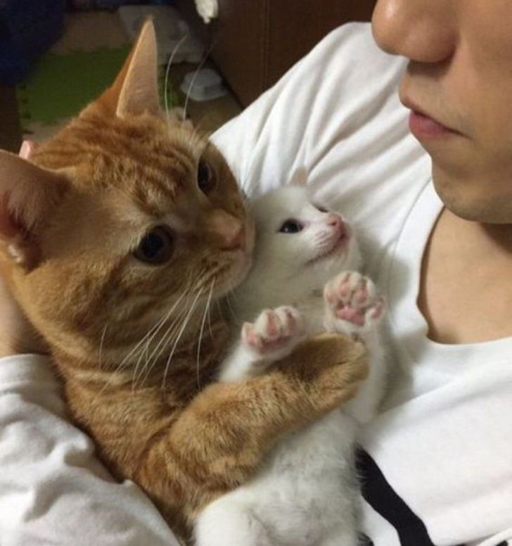 2ea8f75a899608bc26672851f2