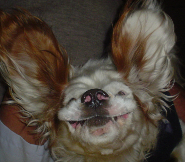 2eb0b6598e8bcff6798fd61ac3