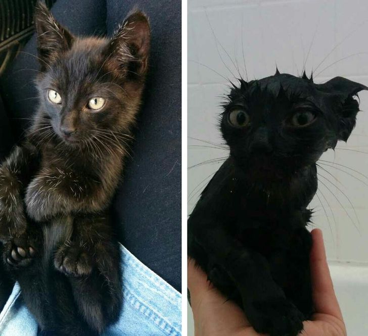 2eb2715d8fb00796d56f74e57c