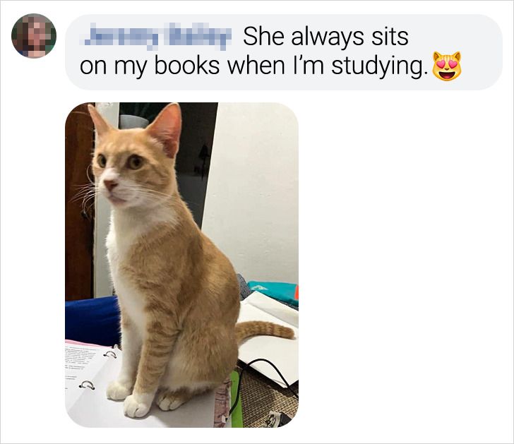 2eb8a355bfa37213f764940570