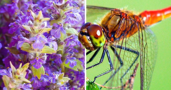 2eba8a540f8bdd96cd54c82d6e