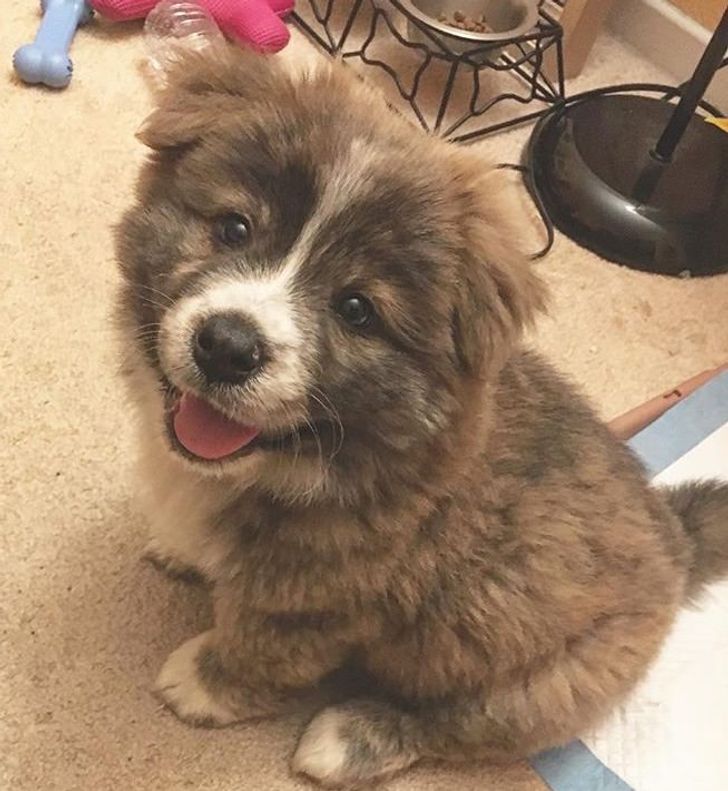 2ebb065d25b02b4e89f57ded6a