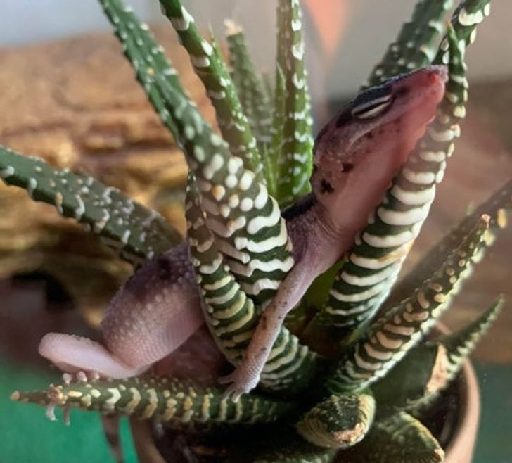 2ebc575765aa18b082a9eccb15