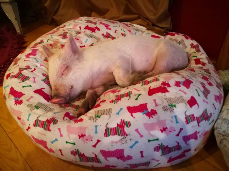 2ebc6f5fa6b2dd9e621763b055