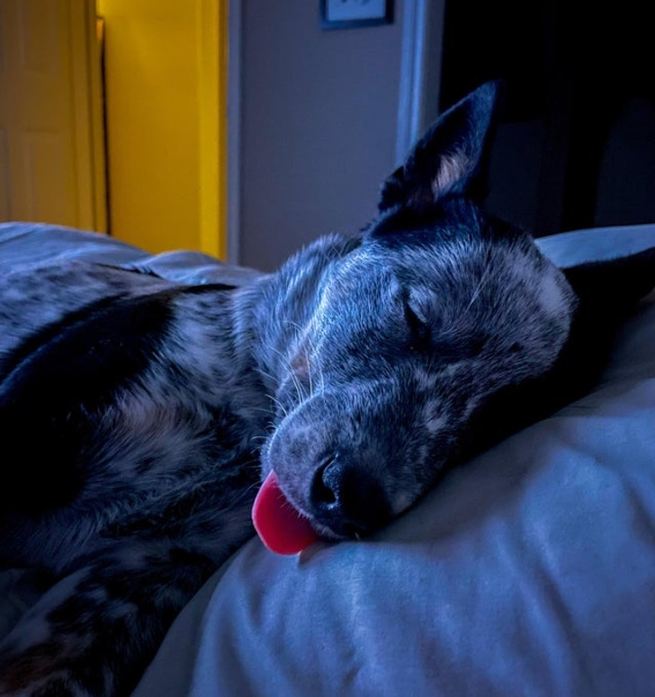 2ec04d59dd8a32f6e9e7f37446