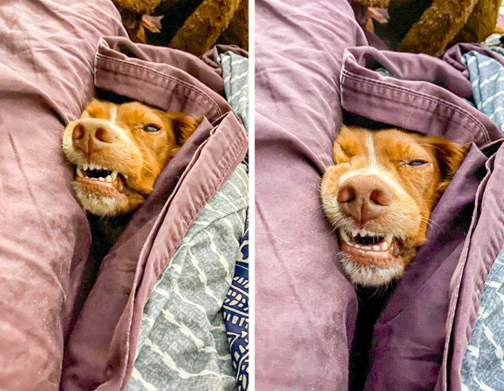 2ecf9e533695777c94bba4f6bb