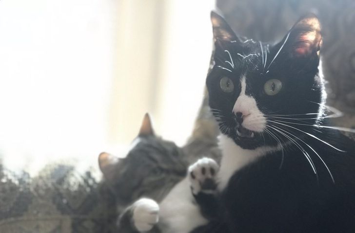 2eddaa539783327361191b6a76