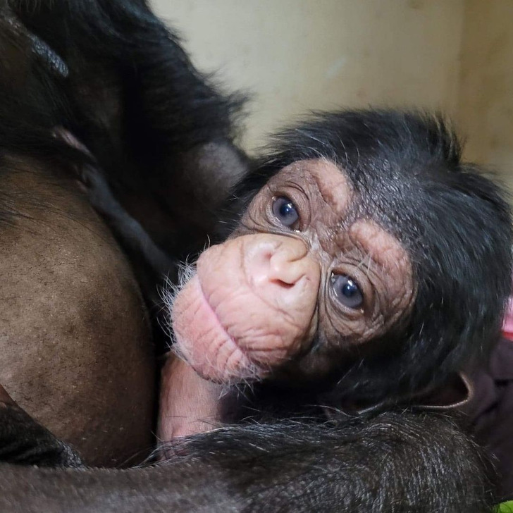 2ee3105f98916d63d06e4c4d31