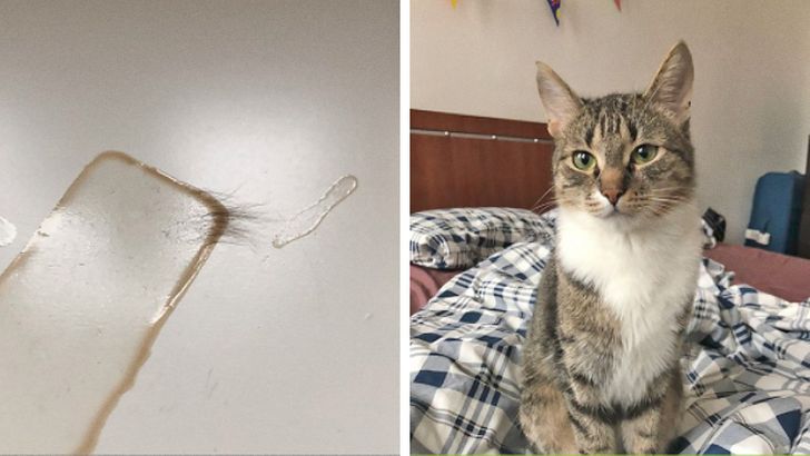 2ee33b536aac1f2ec0ab458068