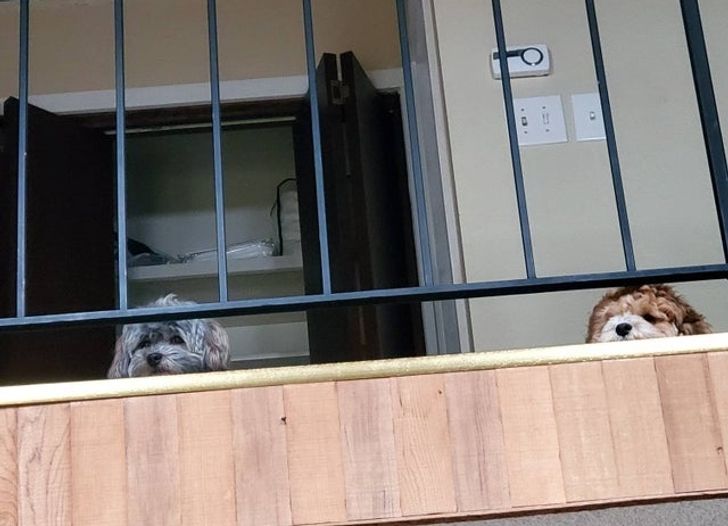 2ef0d75377872eddc5d8e3f7b2