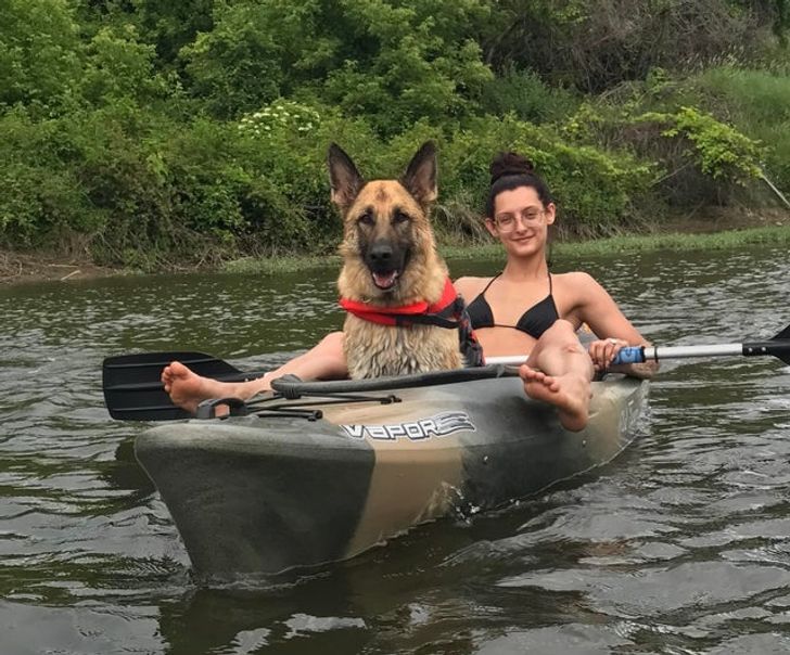 2ef3e05467861d7af065bef674