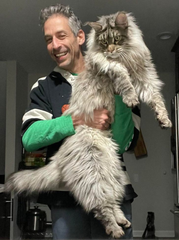 2efd865288bfe46e7e40fe044a 2efd865288bfe46e7e40fe044a