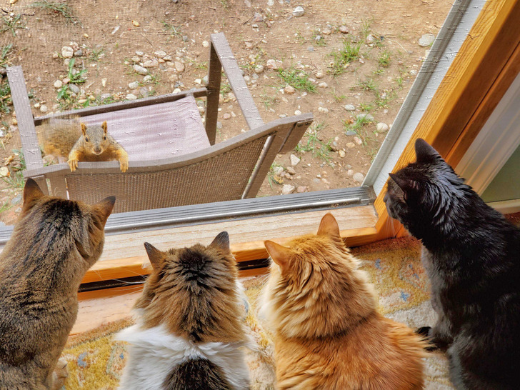 2f016f5252a6a769ee7143d22b