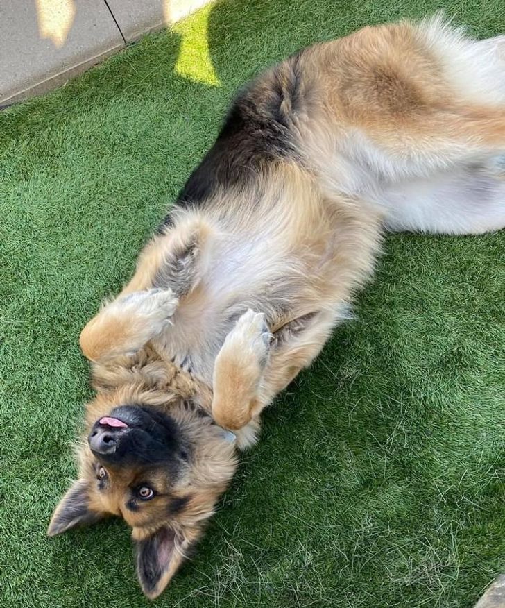 2f1c205b22b3194a26d747b20a 2f1c205b22b3194a26d747b20a