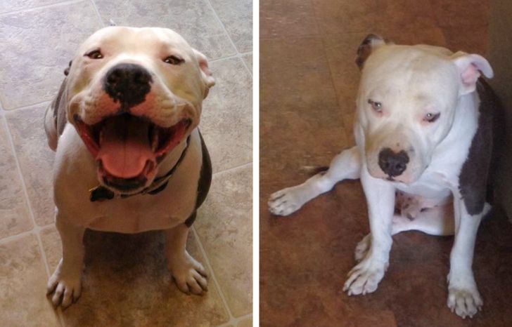 2f1cfb5c8e8199d0893ca8a4bb