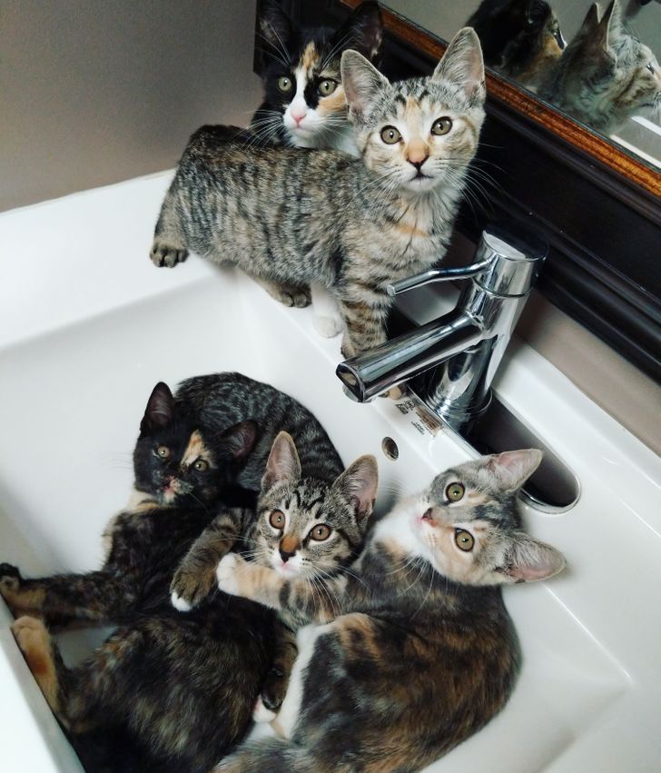 2f1d79567e8b6172d64986bbbc