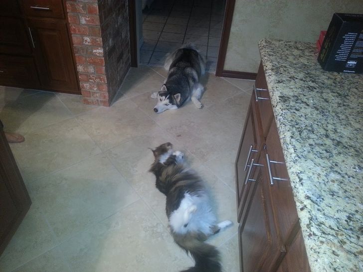 2f267a53ccbbf4db6b386a18d7