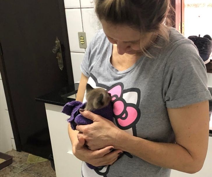 2f268e56b1bdb321248becbf5b