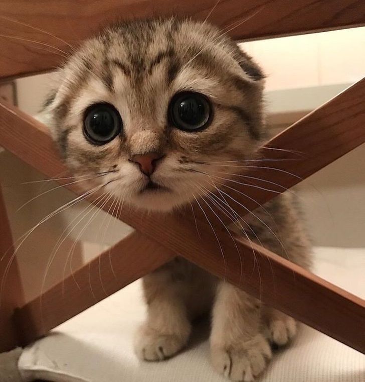 2f275d5a098c8978de7dbab6dc