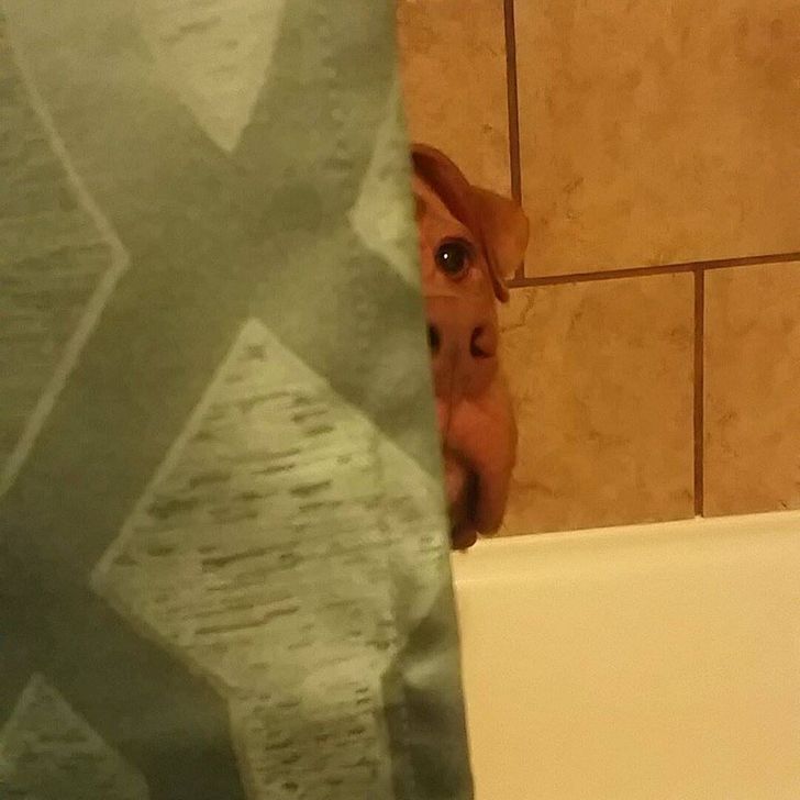 2f31475f2c8a4e7870c7da1cf7