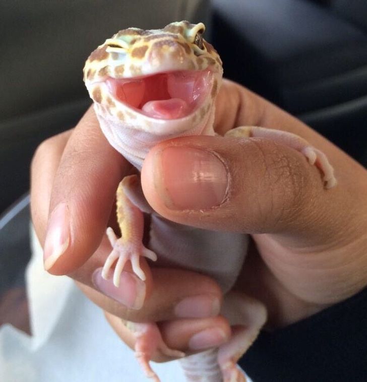 2f33a85fbc92a7be24d957313c