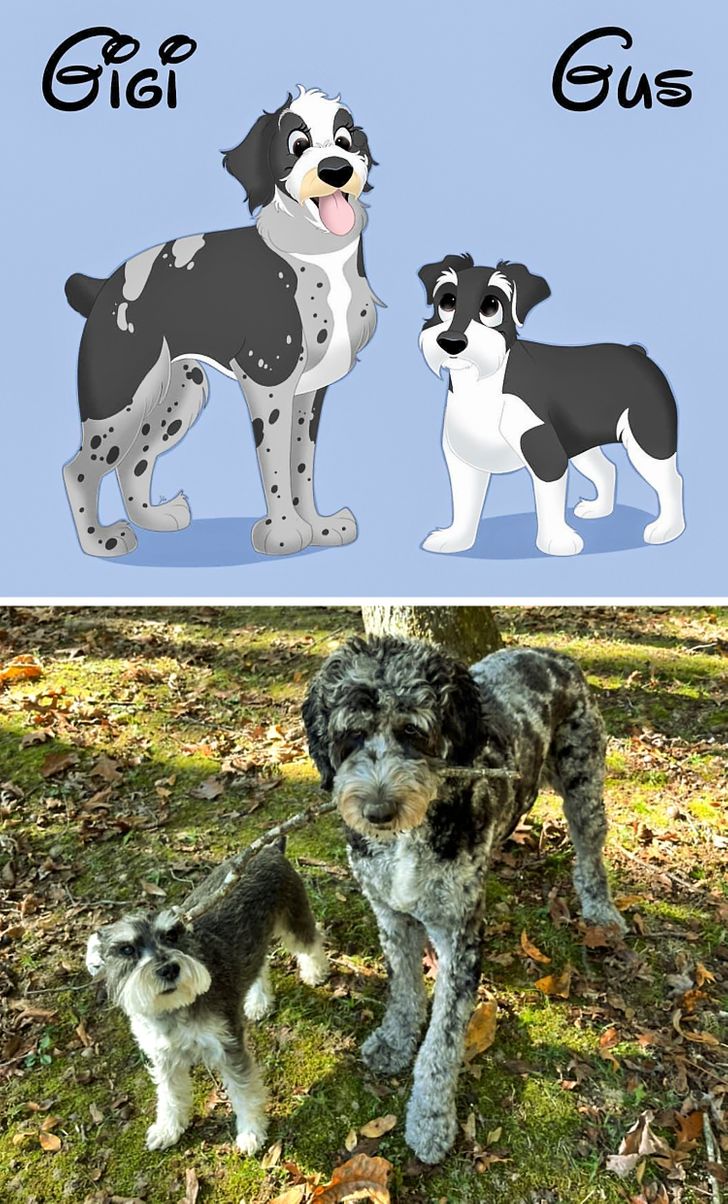 2f35535892ba42411f16ab8611