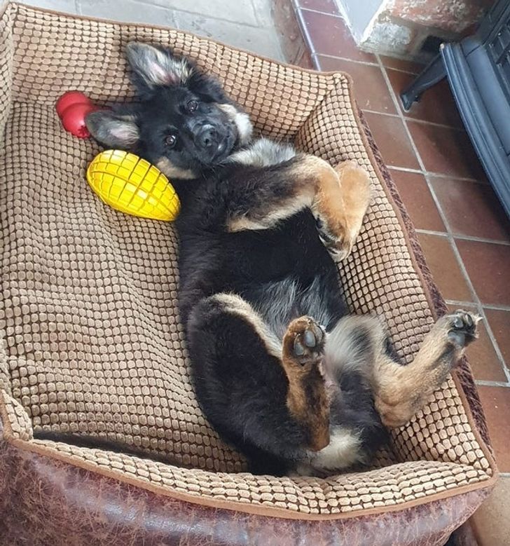 2f37705621bbcee4da80de8598