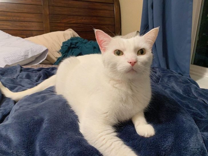 2f39315f4cbd1bea4a2cb80292