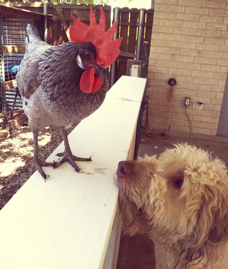 2f39b950ecbf8f67673b82f3b1