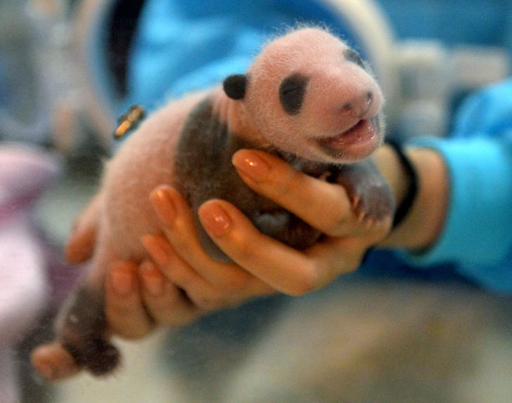 2f3aa35b2d9778a877db741856