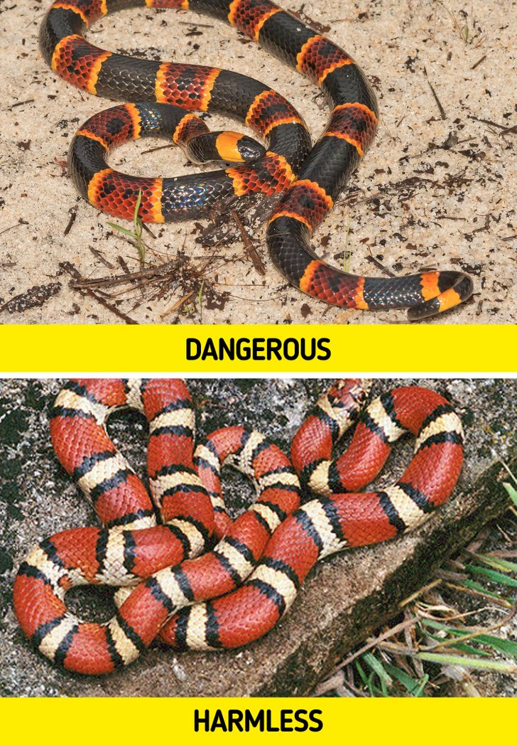 2f3bbf543f9f54c376a0bcb15c