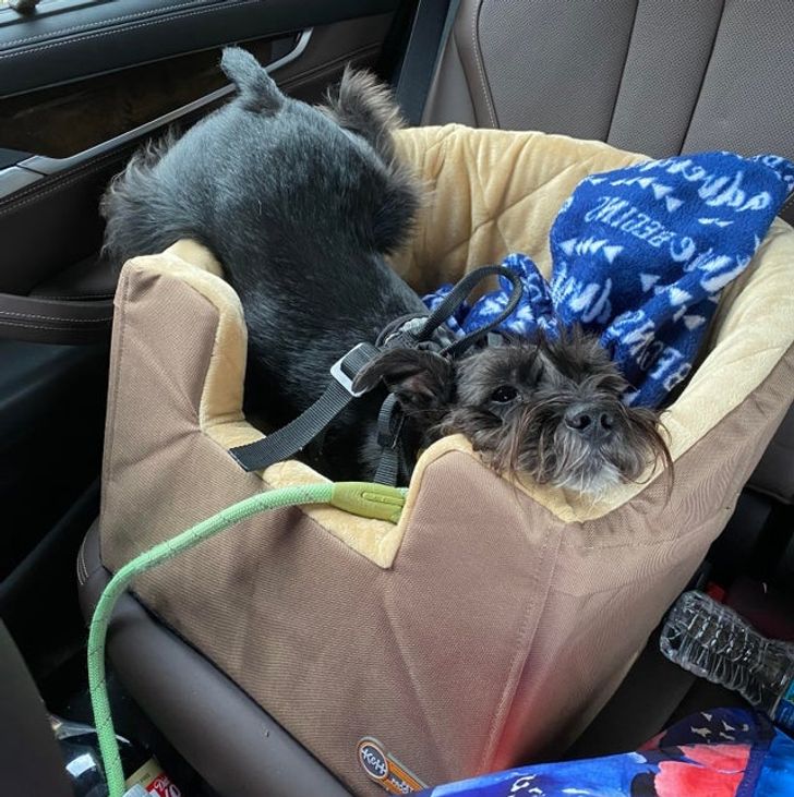 2f3dd25c9598ae5dd3ef10a970