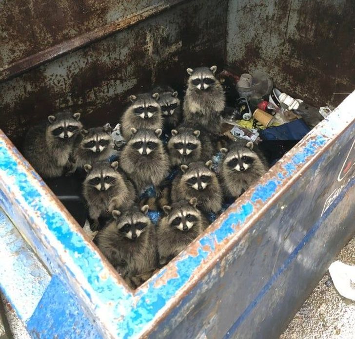 2f484b5fc5a3da6ebbc2ae1b64