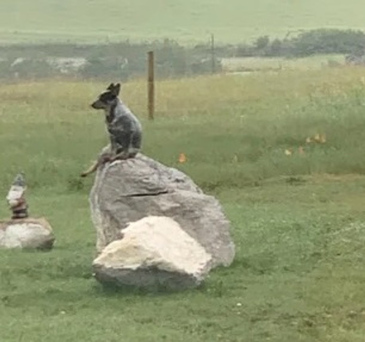 2f4c1052f5a7e2708ff2f6a01b